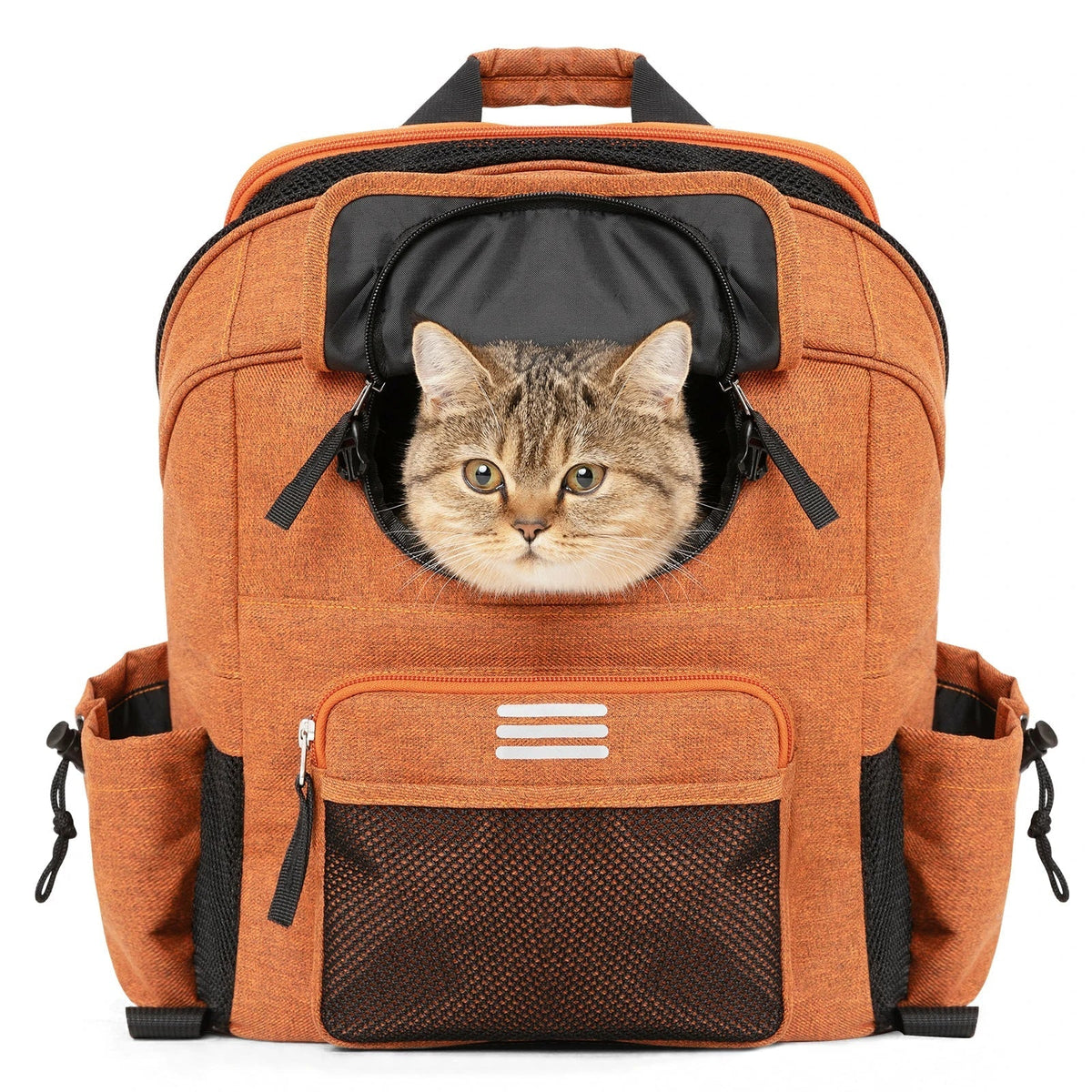 The Ultimate Guide To Choosing The Best Bike Bag For A Small Dog