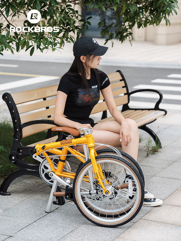 VDS 20-Inch Folding Bike