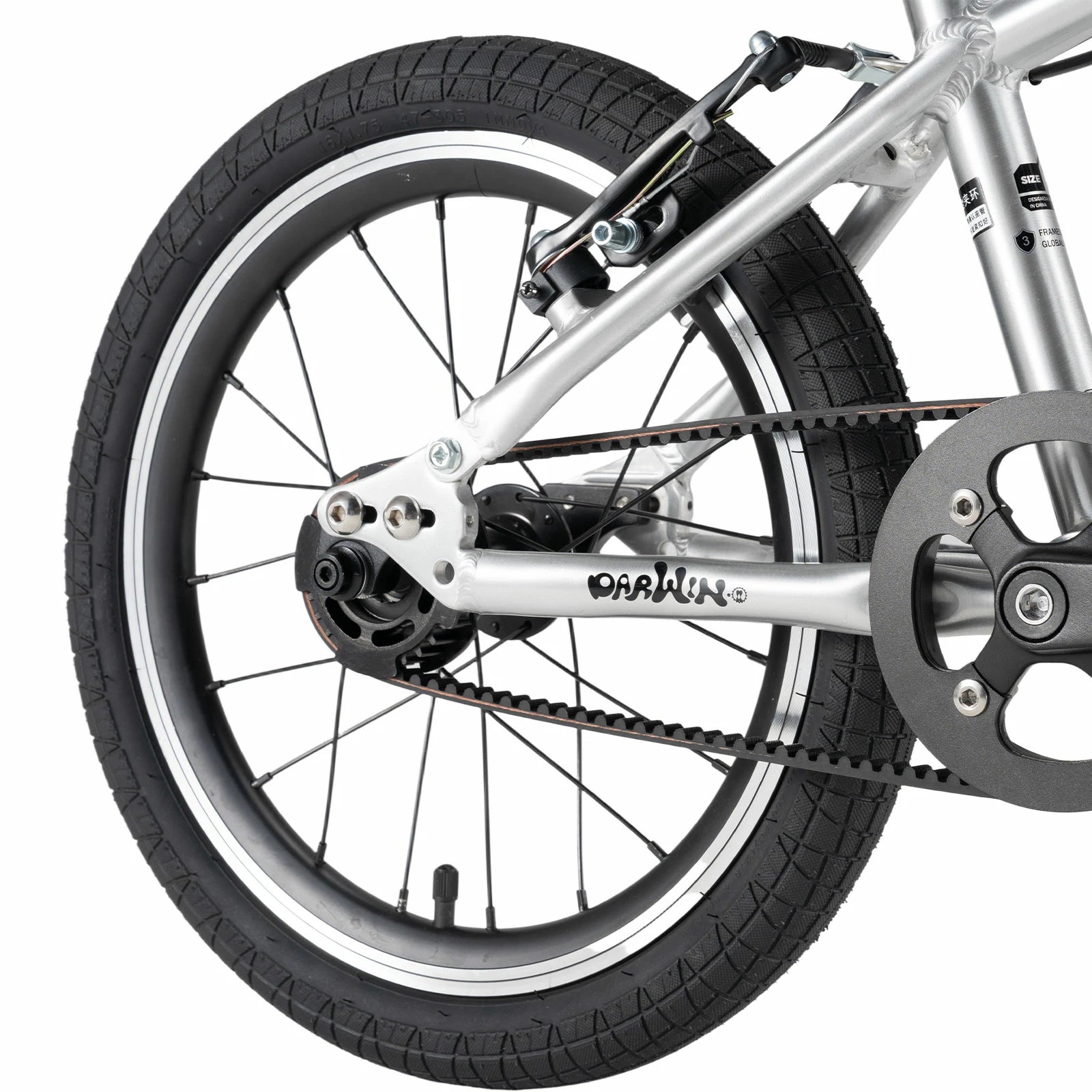 #color_darwin ii 16"