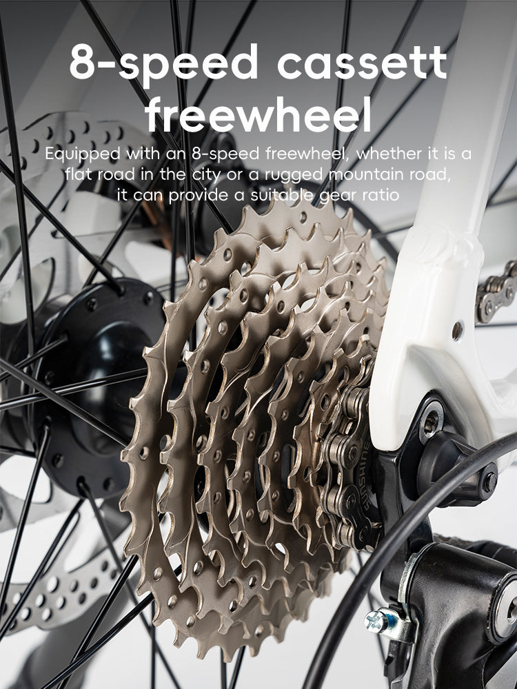 RIDA-P2E Aluminum Road Bike