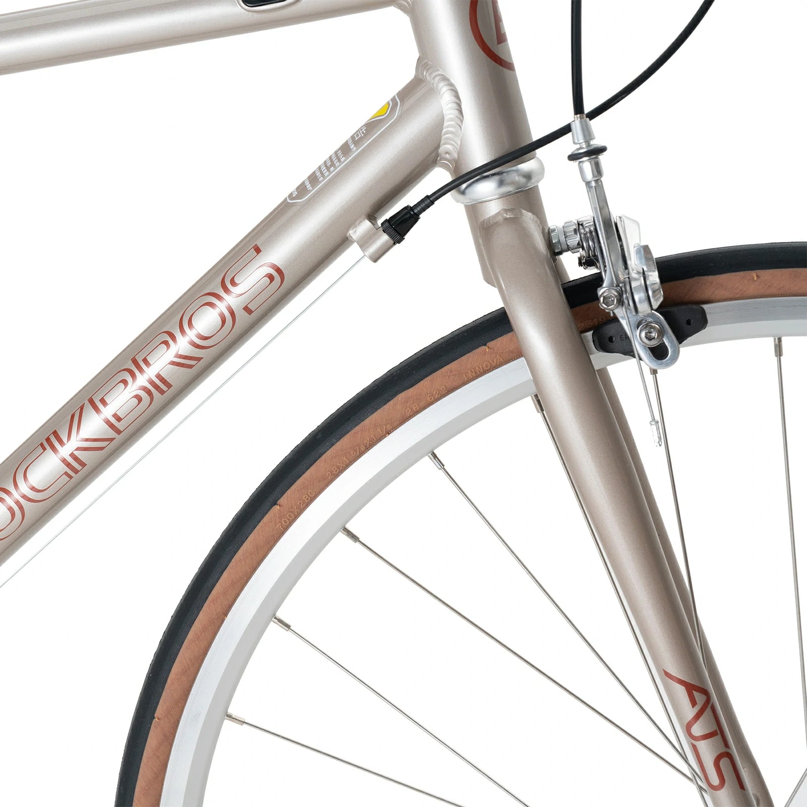 Front fork of ATS Classic 700C Road Bike in coffee color #Color_Coffee