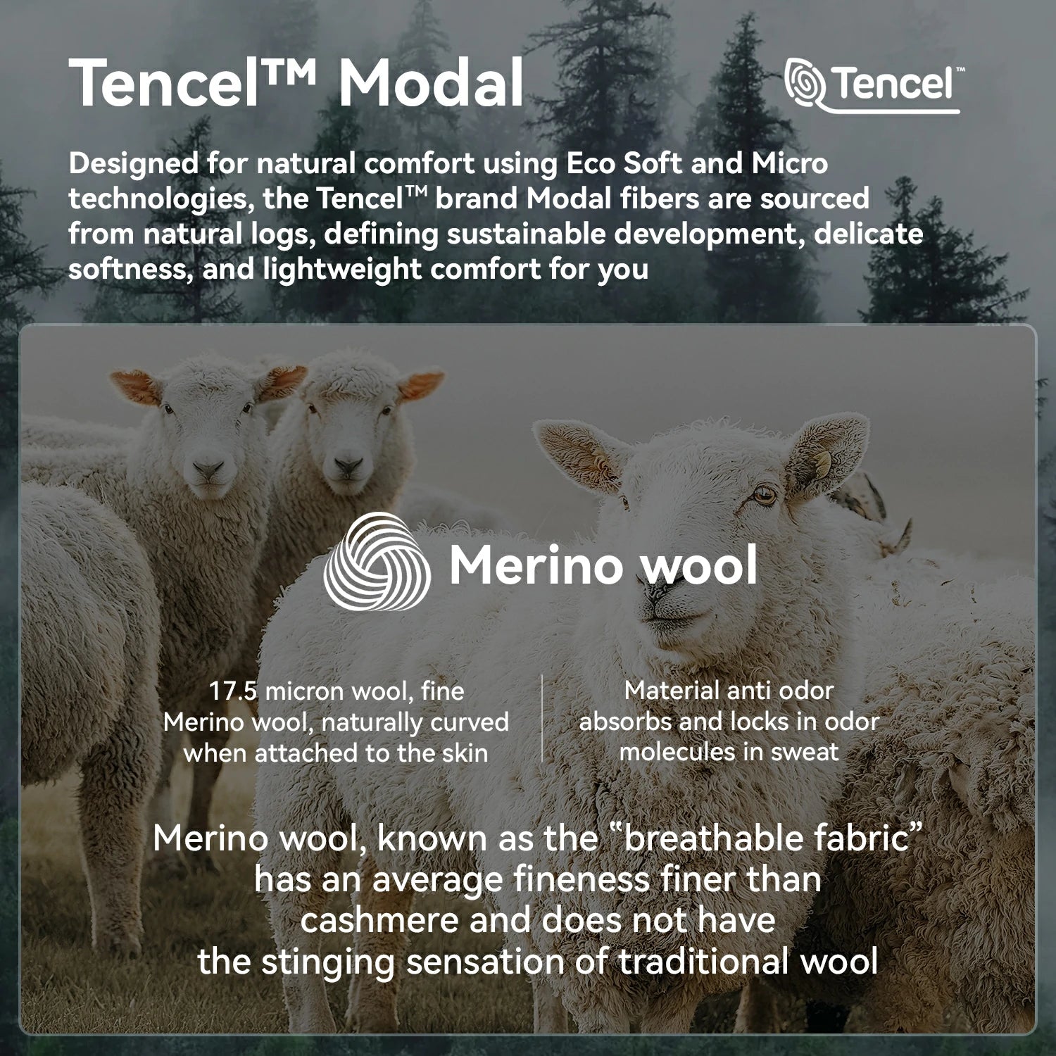 An informational product graphic for Tencel Modal fabric, featuring a photo of Merino wool sheep with text overlays explaining the blend technology and wool properties. The Tencel logo is visible in the top right corner.