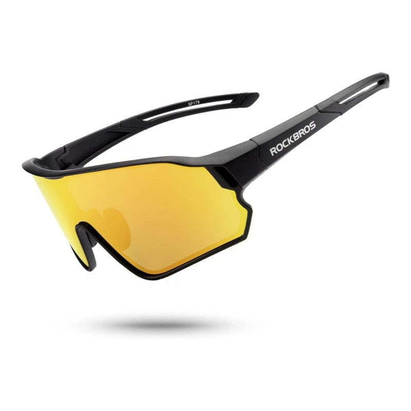 Polarized Glasses