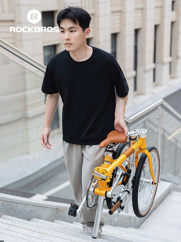 VDS 20" Folding Bike