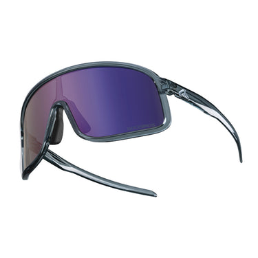 #color_dark-gray-purple-polarized-lens