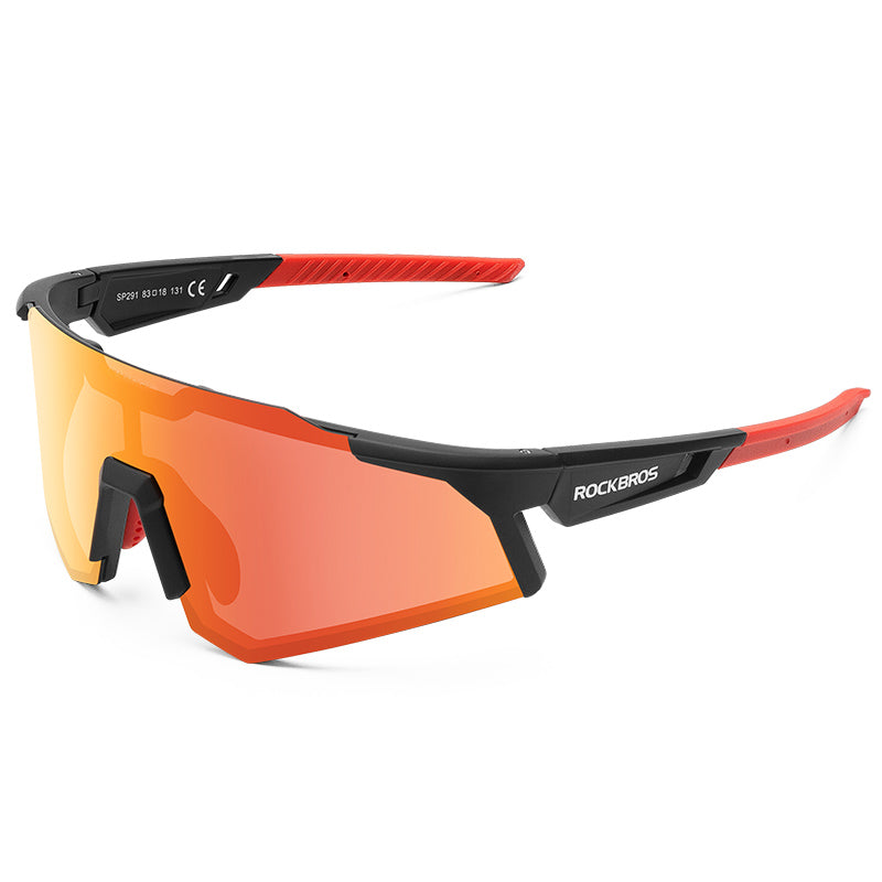 #color_Black Polarized