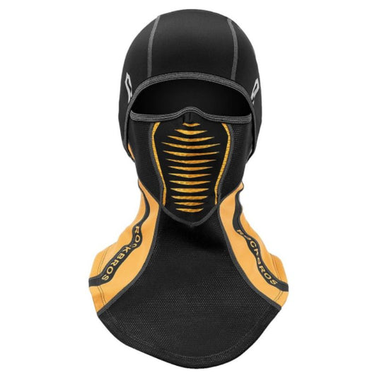 ROCKBROS Ski Mask Cold Weather Balaclava Windproof Fleece Thermal for Men Women
