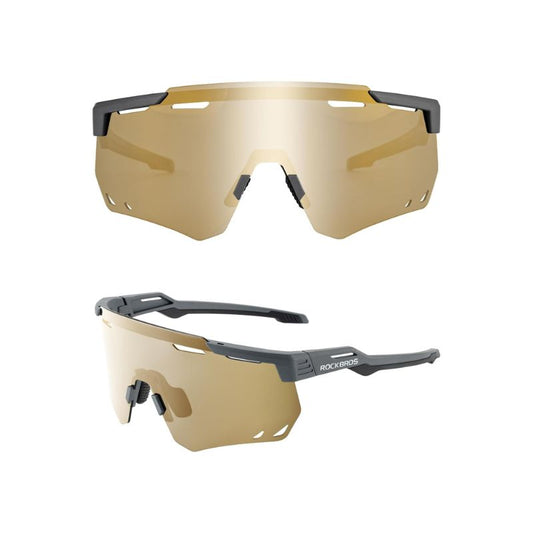 #color_Anthracite polarized gold