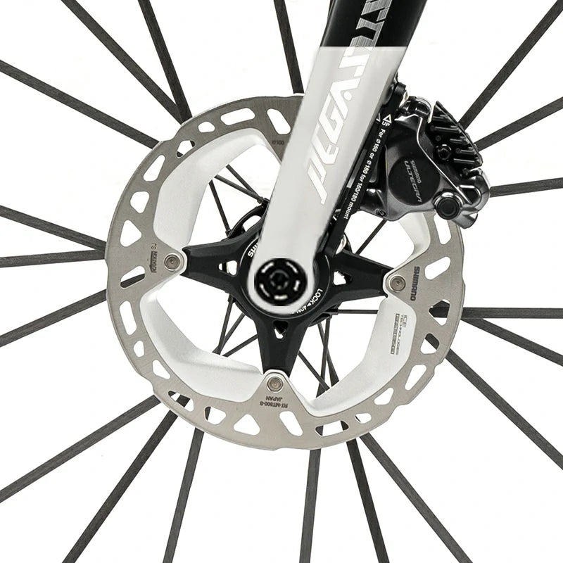 Carbon Fiber Road Bike T700 Shimano 105 Di2 Electronic Hydraulic Disc – Pegasus Black and White