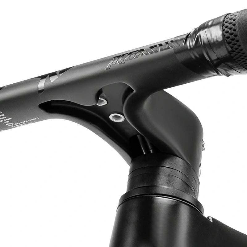 Pegasus - Carbon Fiber Road Bike –  Black and White