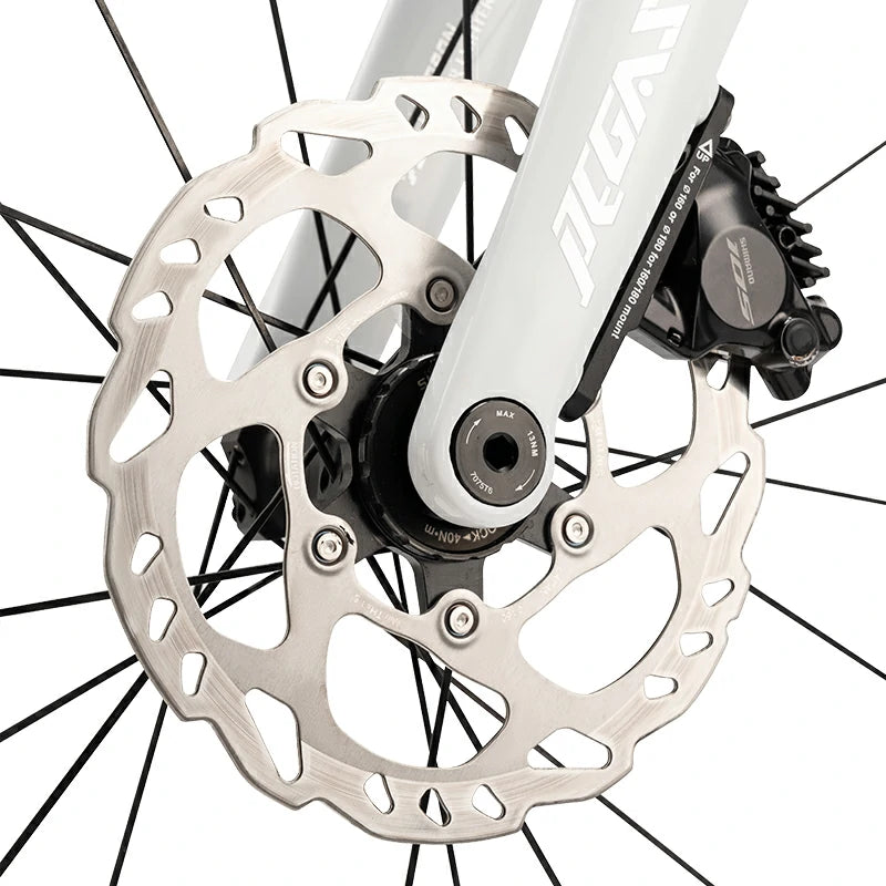 Pegasus - Carbon Fiber Road Bike –  Black and White