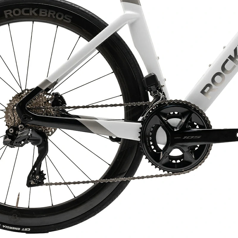 Pegasus - Carbon Fiber Road Bike –  Black and White