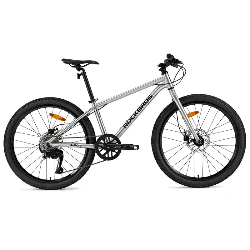 Darwin IV 24-Inch Kids Bike