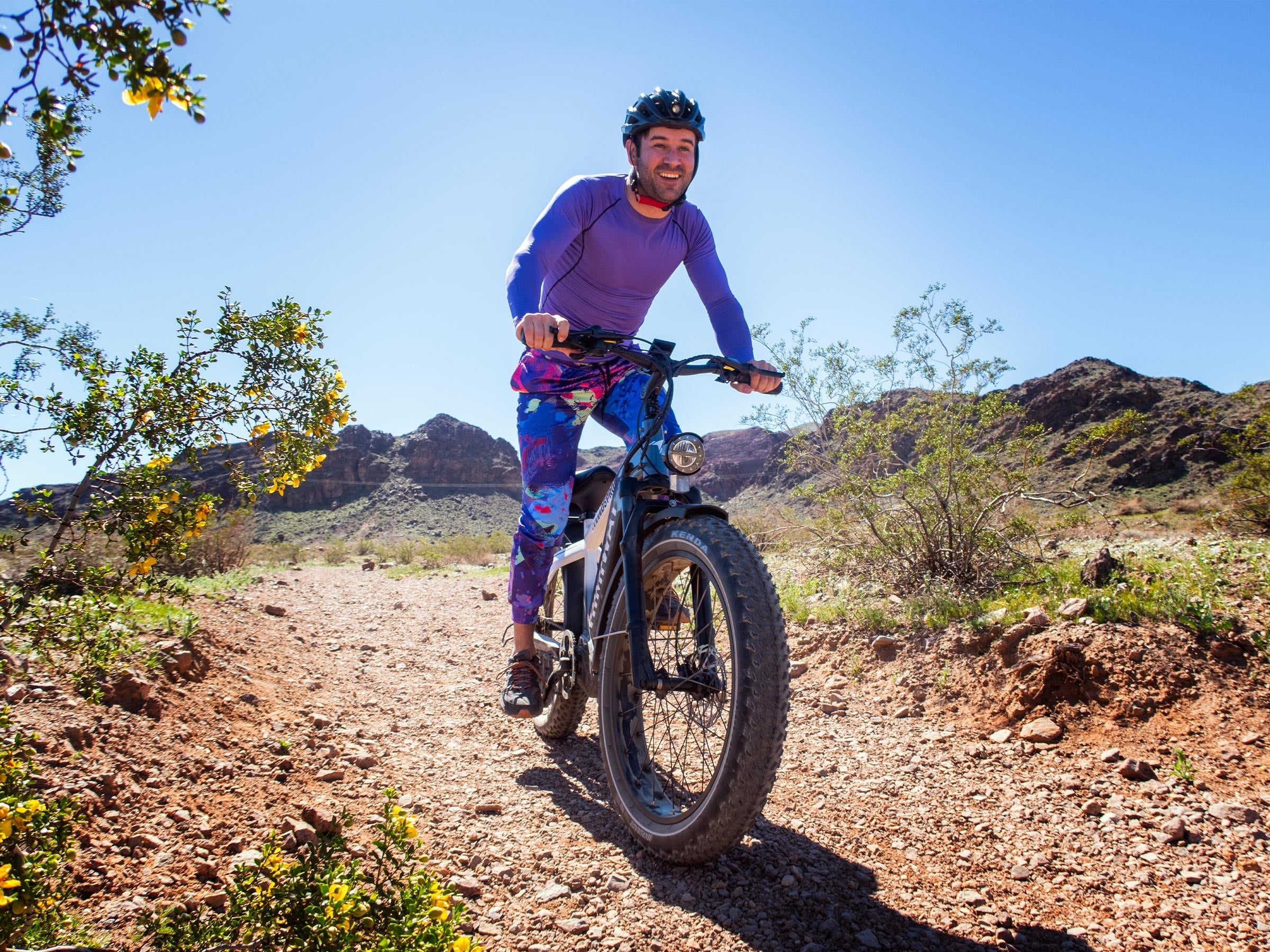 D5 Pro / All-terrain Electric Fat Bike