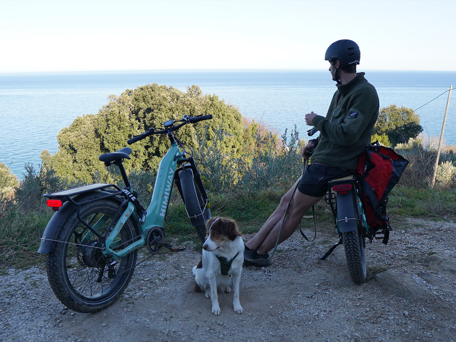 D5 ST(Zebra ST) / All-terrain Electric Fat Bike