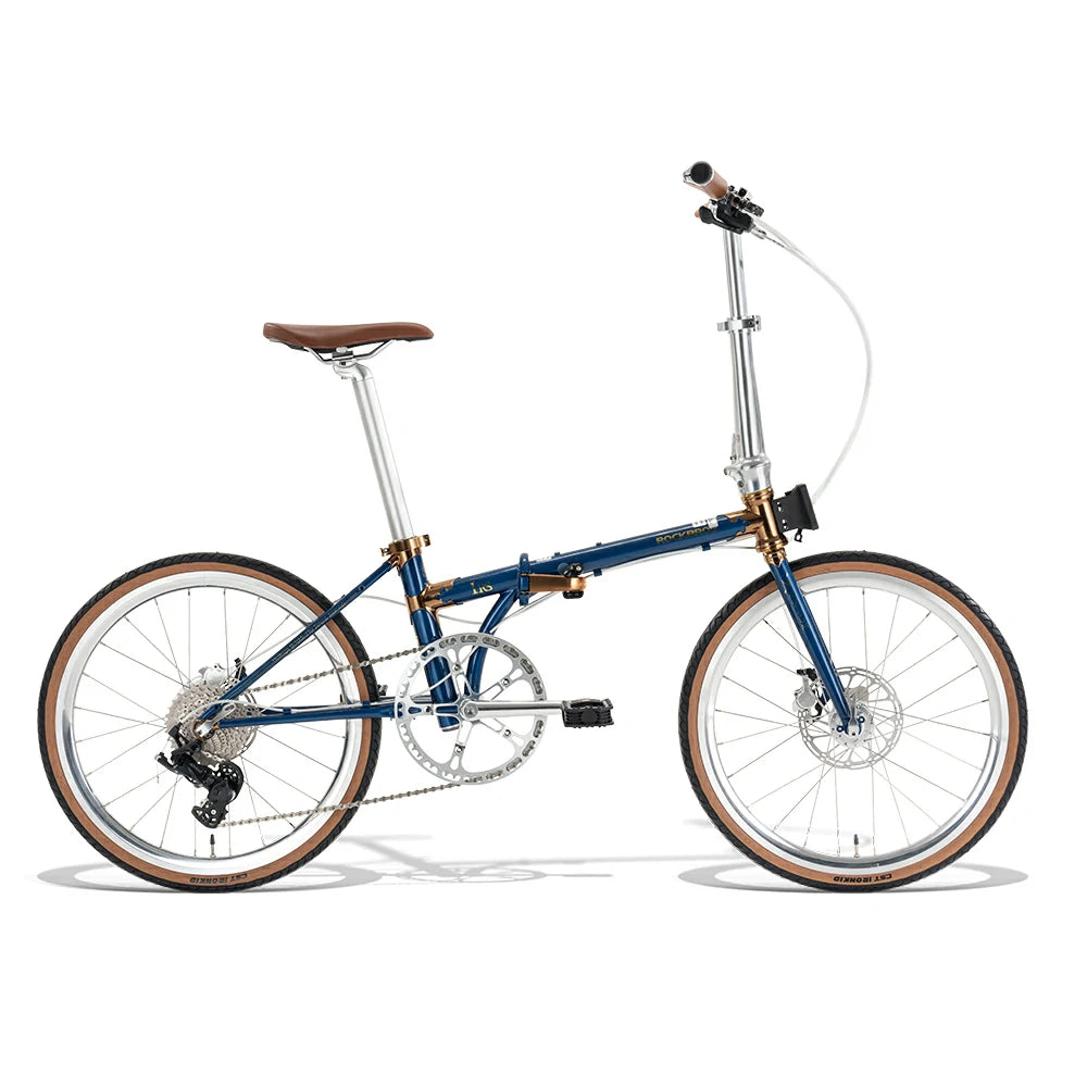 ROCKBROS Loras 20-Inch Steel Folding Bike