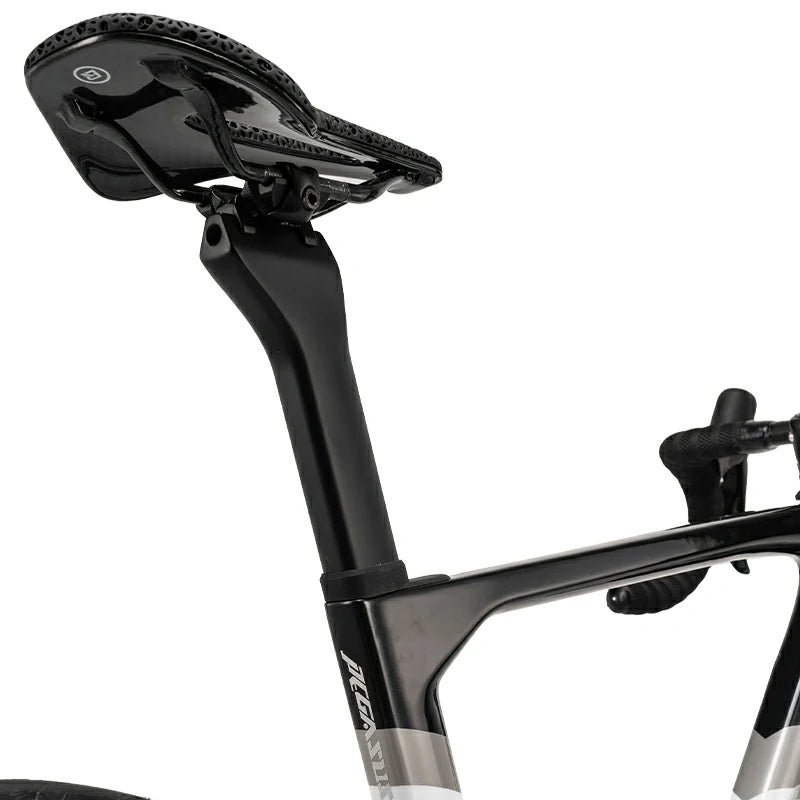 Pegasus - Carbon Fiber Road Bike –  Black and White