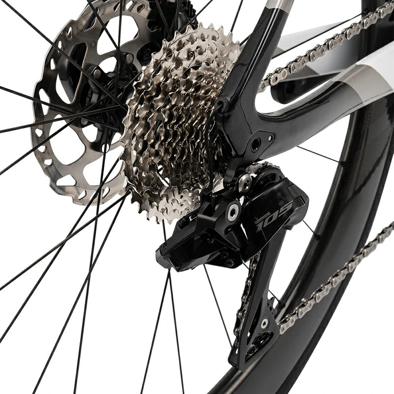 Pegasus - Carbon Fiber Road Bike –  Black and White