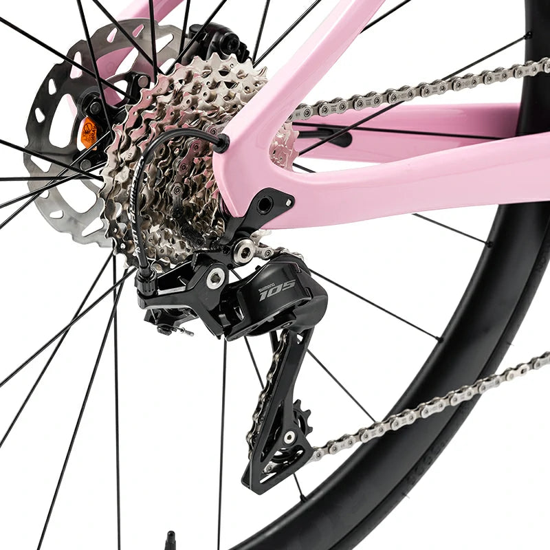 Pegasus - Carbon Fiber Road Bike – Pink