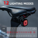 ROCKBROS Smart Bike Tail Light with 12 Lighting Modes