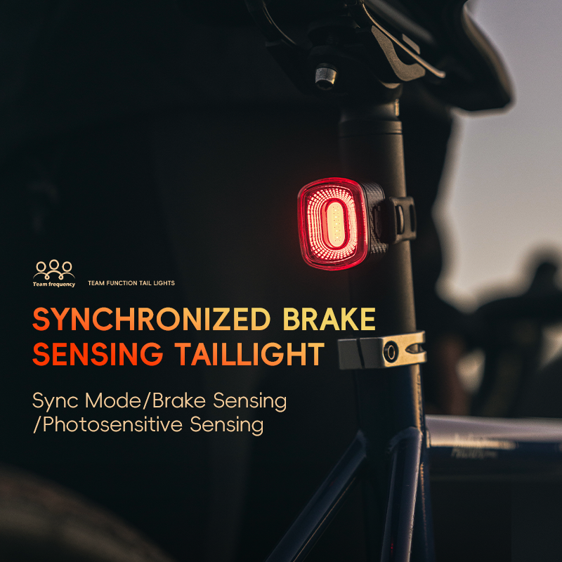 R1/R4 Tail Light Brake sensor USB-C Synchronized